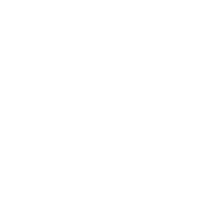 download_icon